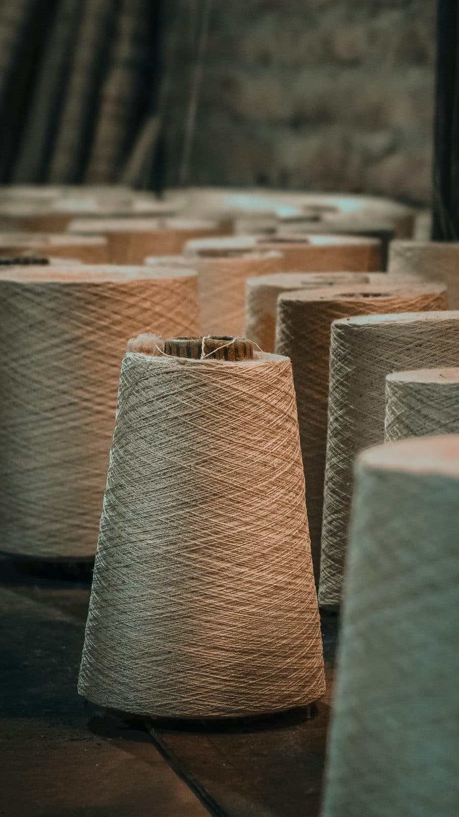 Large carded cotton yarn cones standing on a mill floor